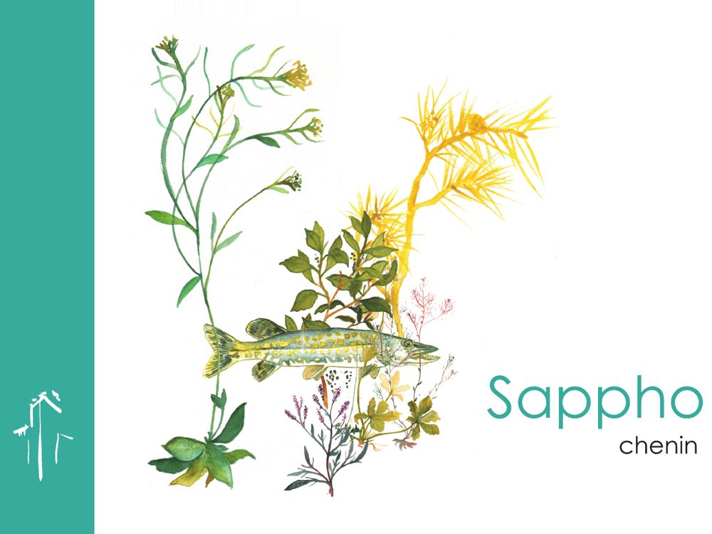Bouteille de Sappho